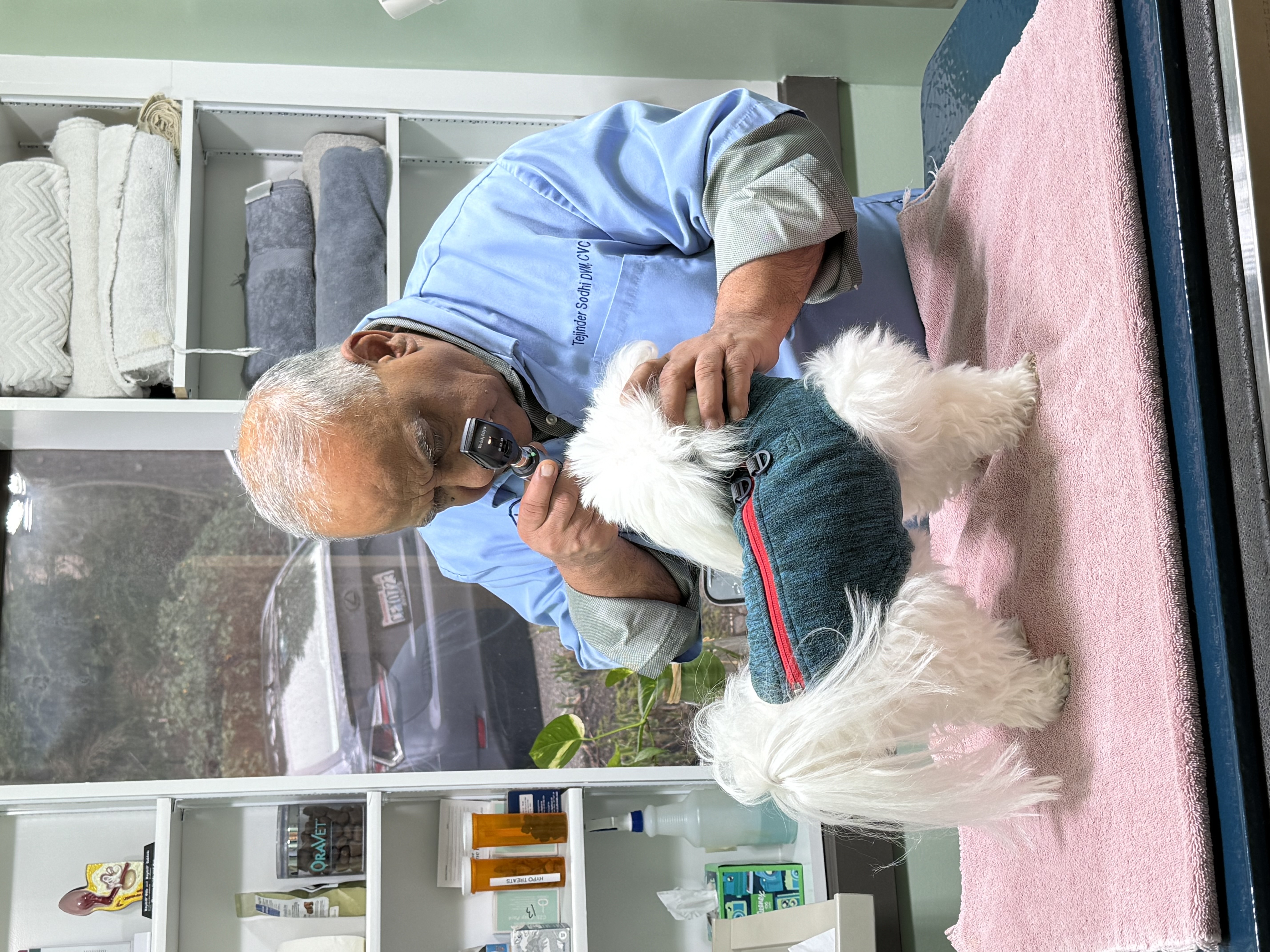 Animal Wellness & Rehabilitation Center Facebook ad: Veterinarian in Bellevue, WA | Animal Wellness and Rehab…