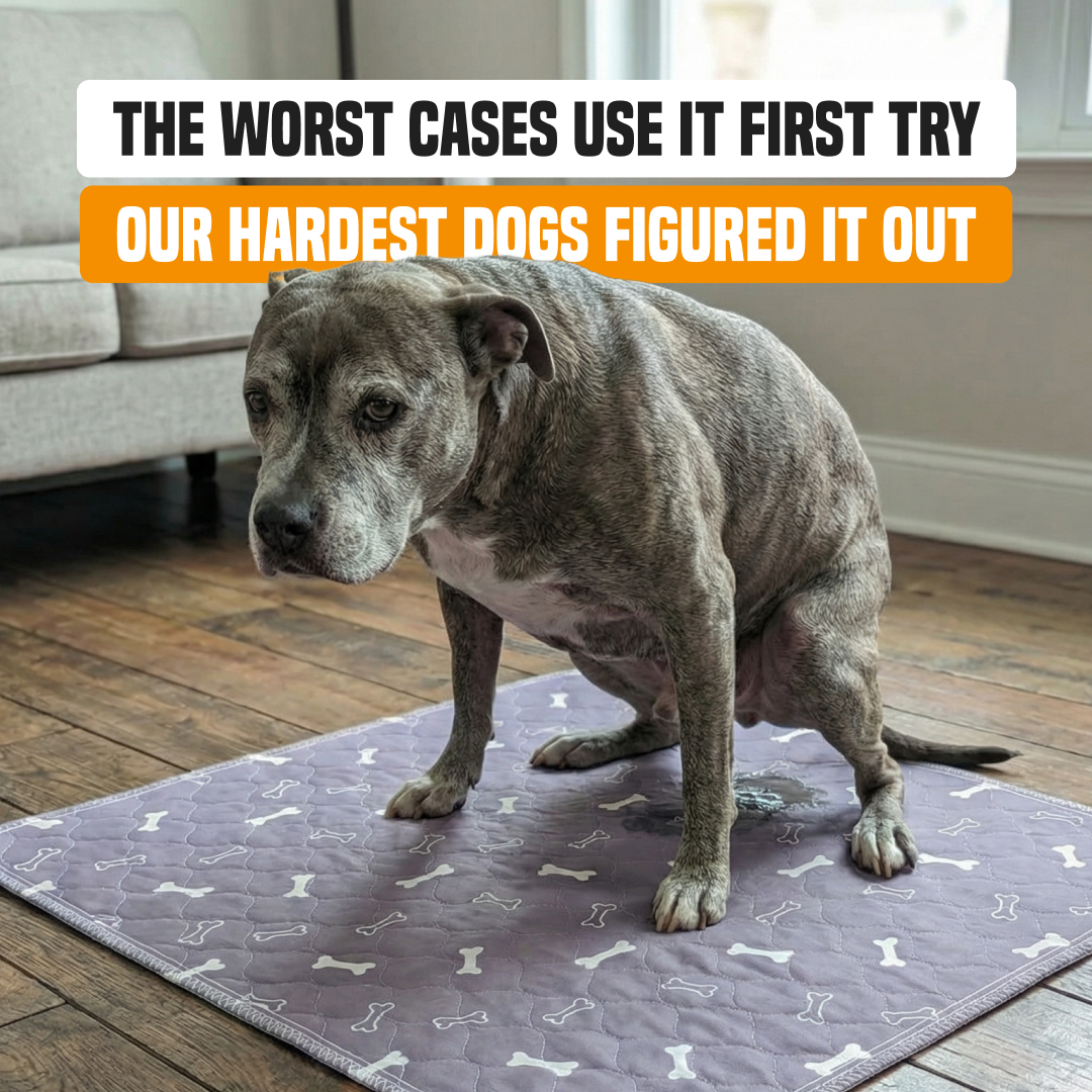 PuppyPad Facebook ad