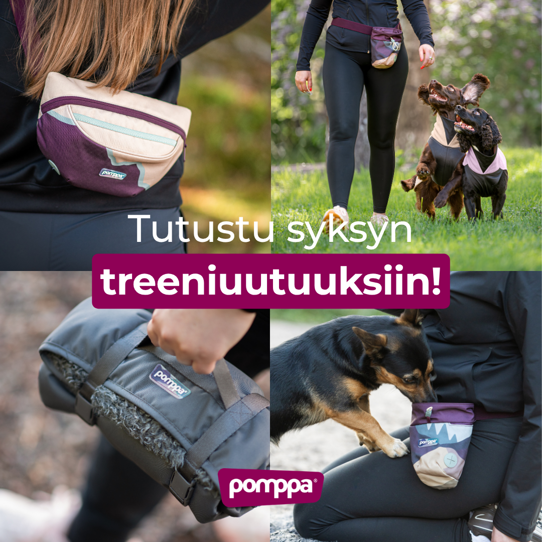 Pomppa Dogwear Facebook ad
