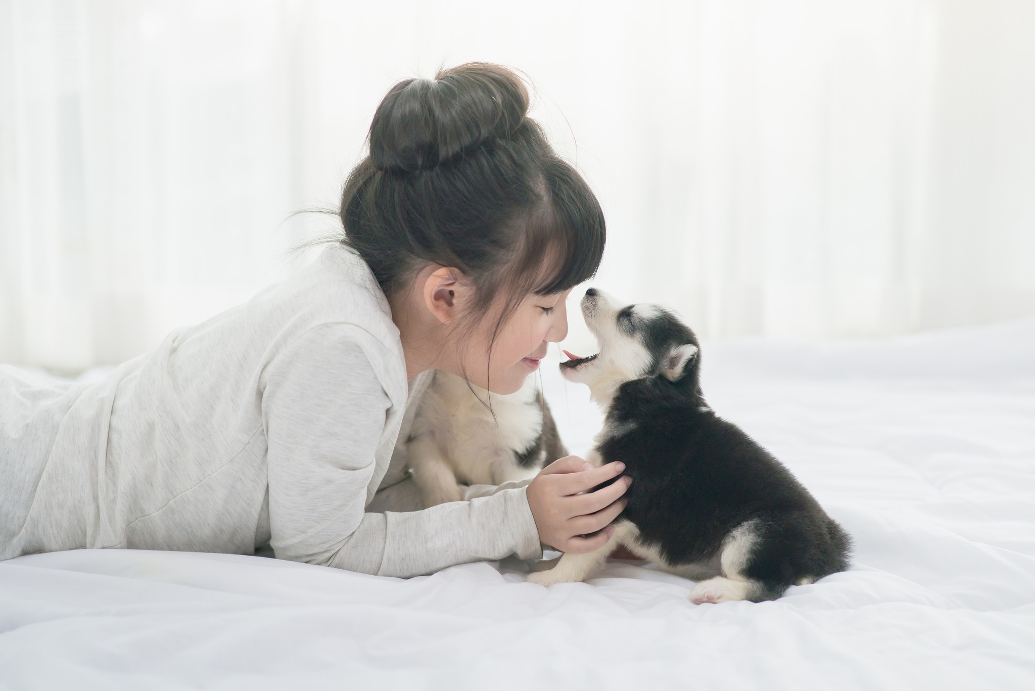 Natures Companions: Dog Behaviour Solutions, Grimsby. Facebook ad: Ready to unleash your puppy's potential?