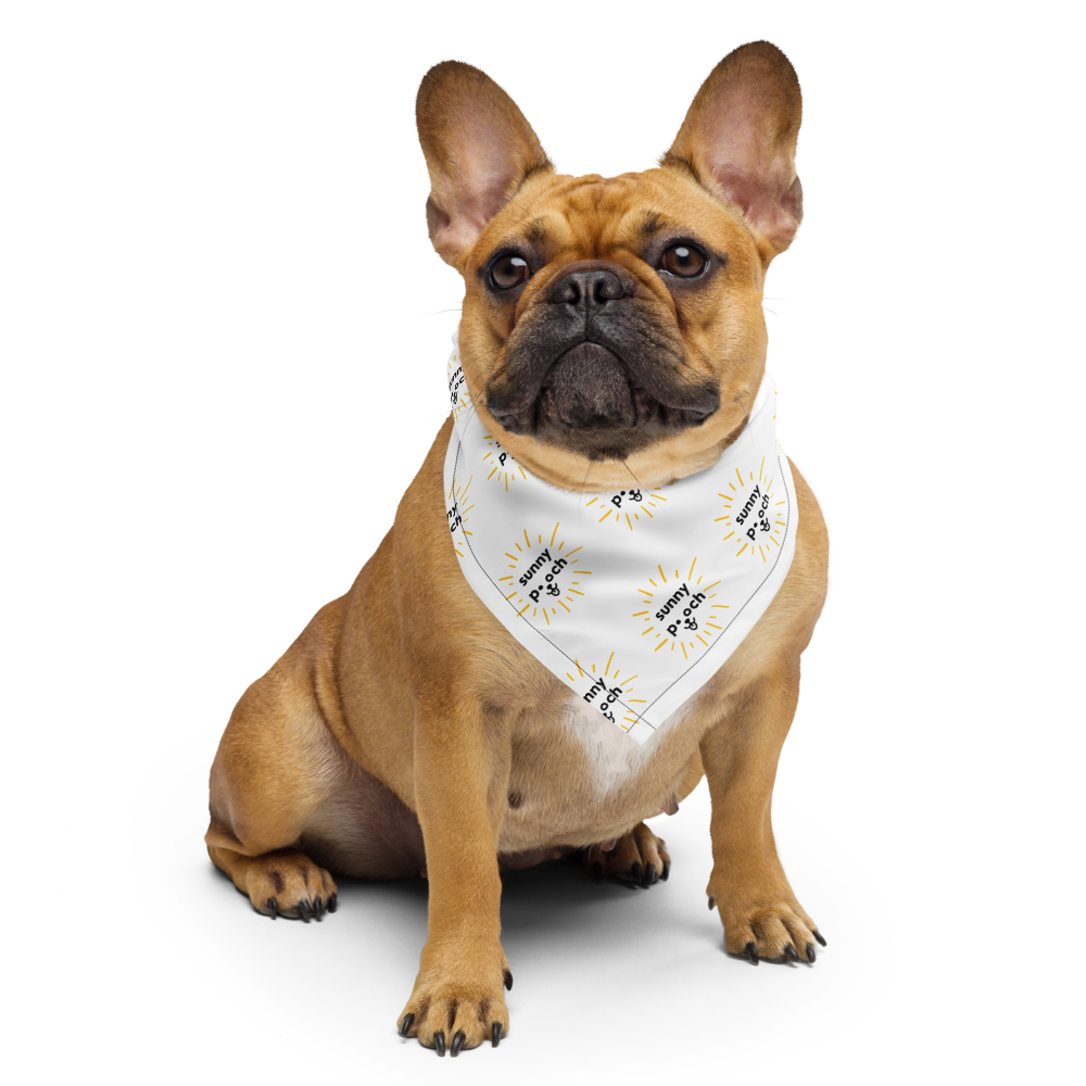 Sunny Pooch Facebook ad: Sunny Pooch: Miami Vibes for Every Dog!