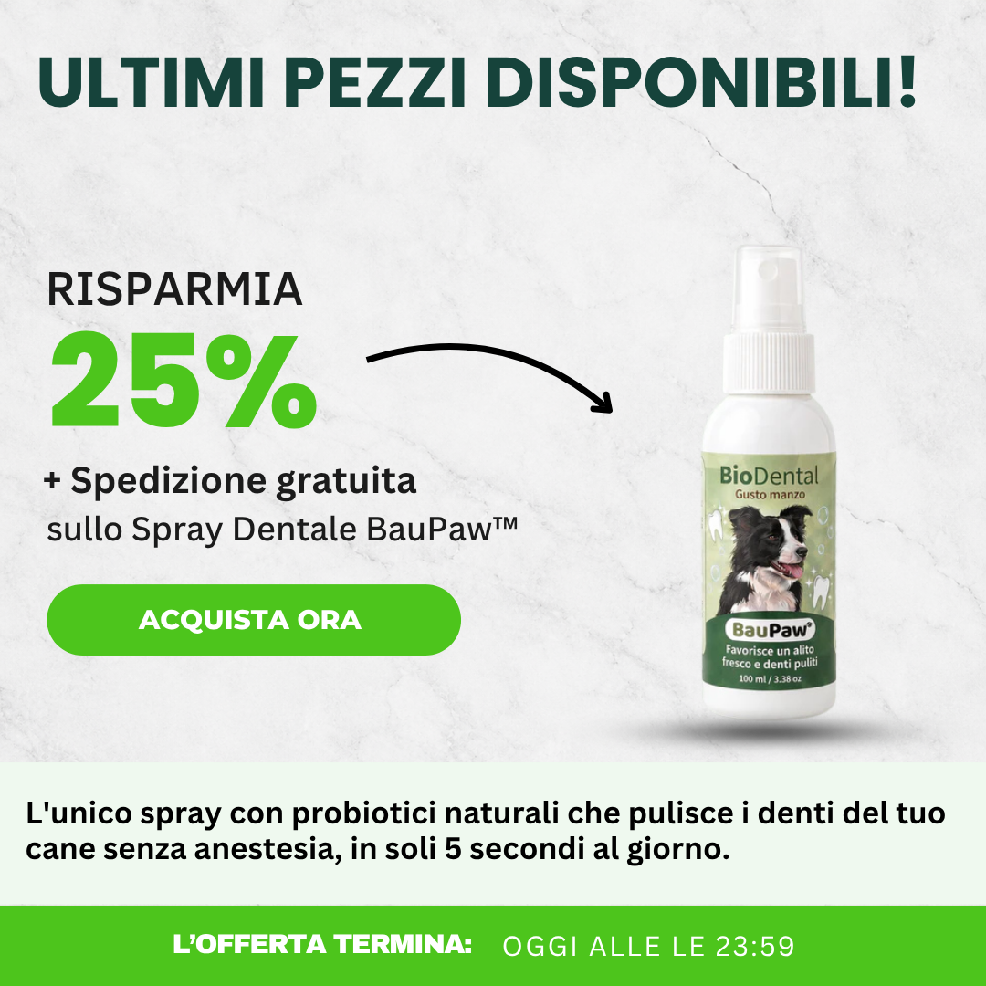 Amici a 4 Zampe Facebook ad: 5 secondi al giorno. Niente più detartrasi.