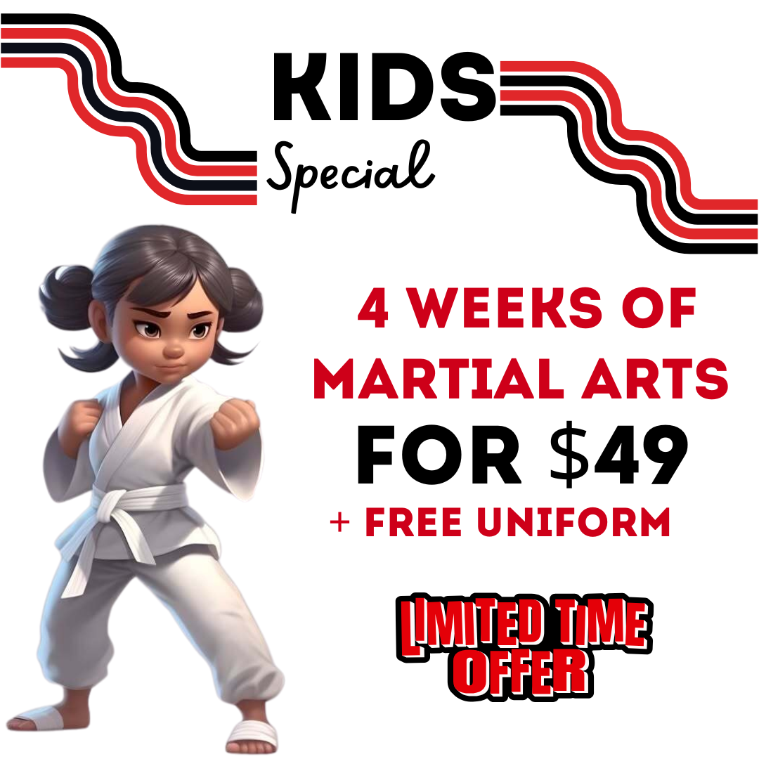 Excel Martial Arts Facebook ad