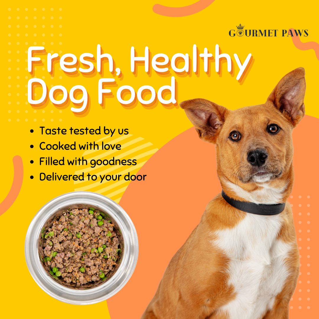 Gourmet Paws SA. Facebook ad: Premium Quality Dog Food Delivered To Your Door