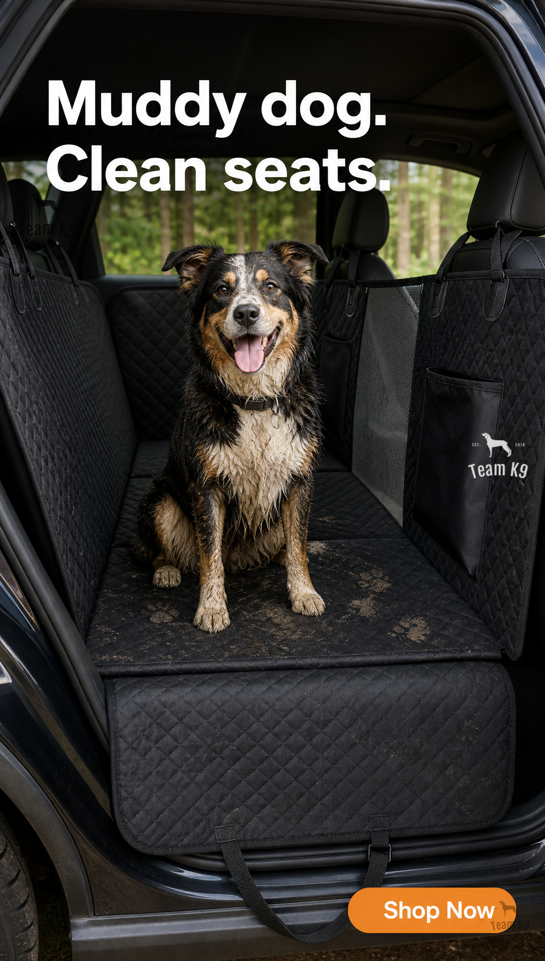Team K9 Facebook ad