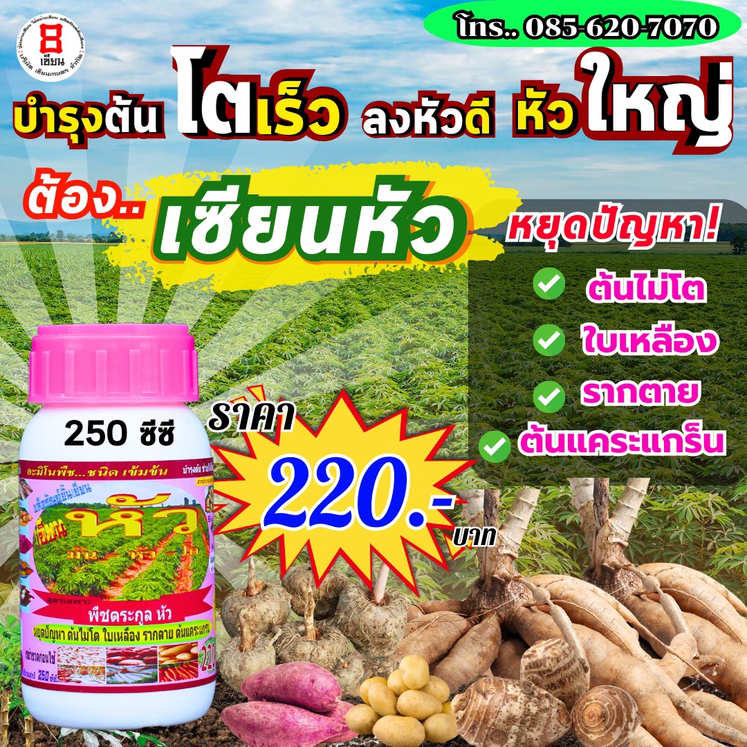 8เซียน Sienkaset 085-6207070 Facebook ad