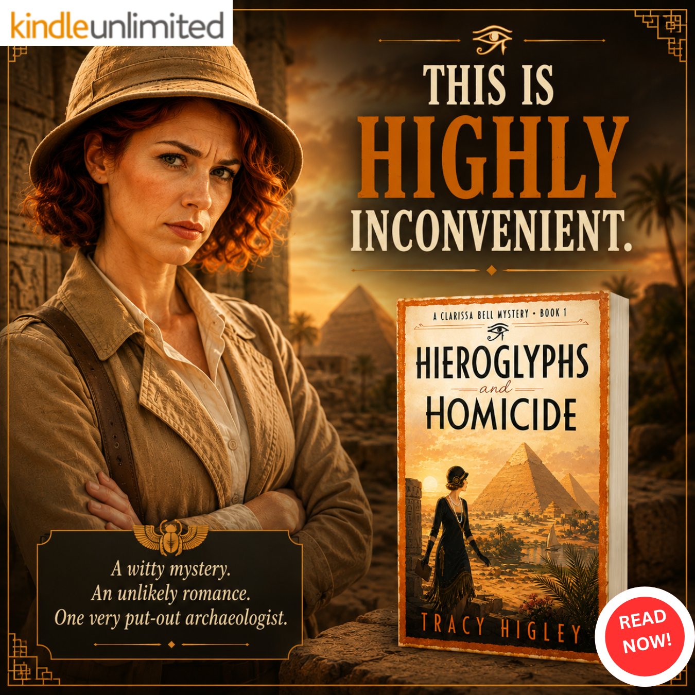 Tracy Higley Facebook ad