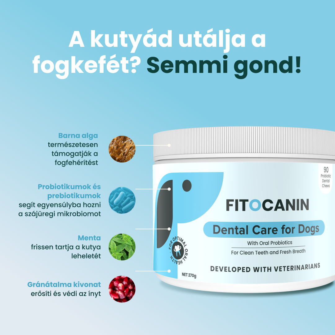 Vivocanin Facebook ad