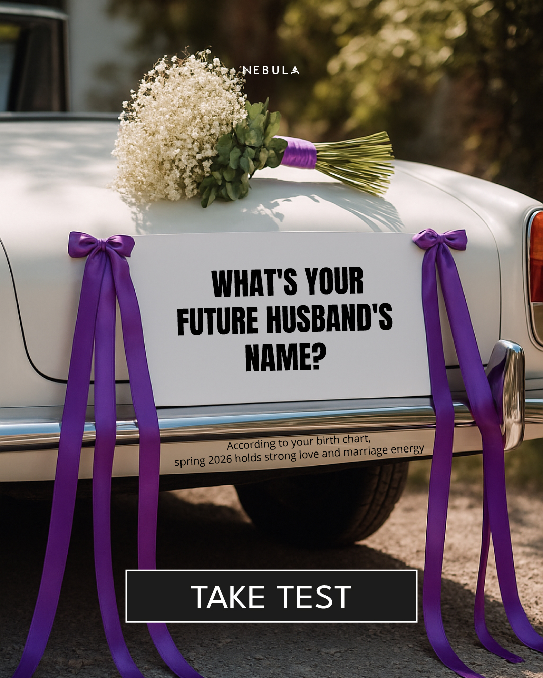 Nebula: Marriage Compatibility Facebook ad