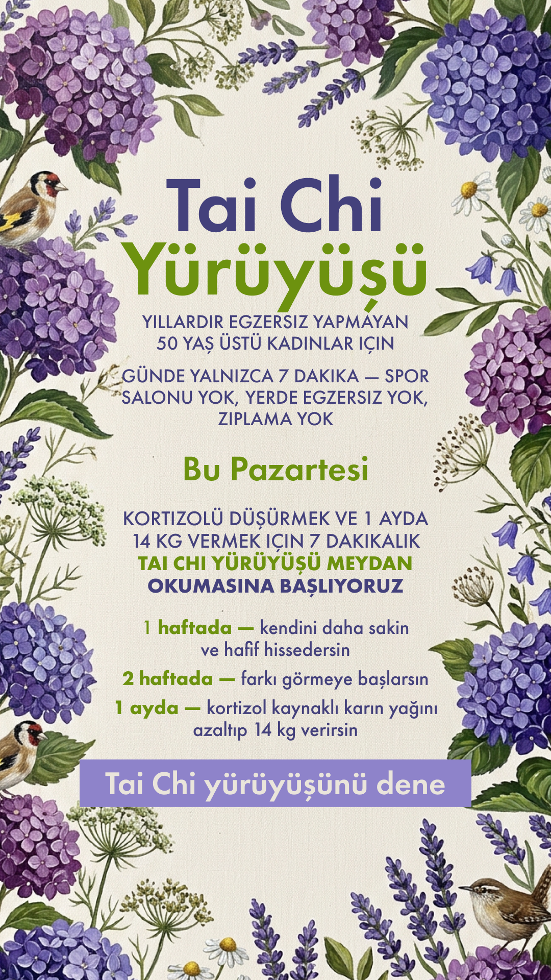 Мy 28 Day Challenge Facebook ad