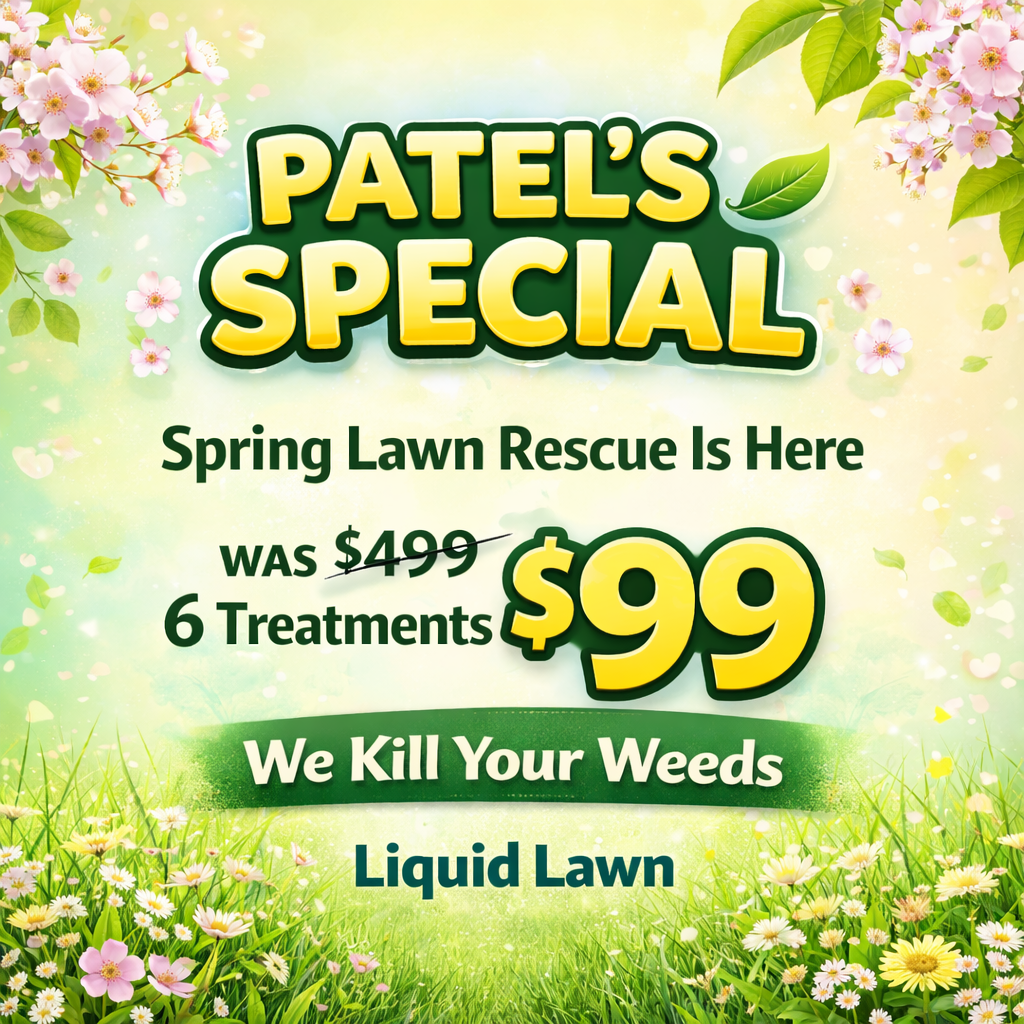 Liquid Lawn Facebook ad