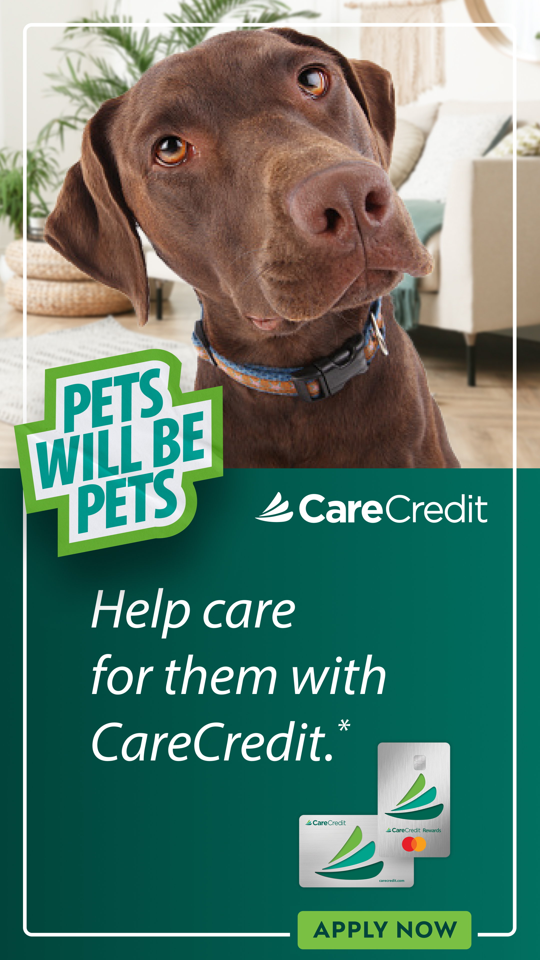 CareCredit Facebook ad