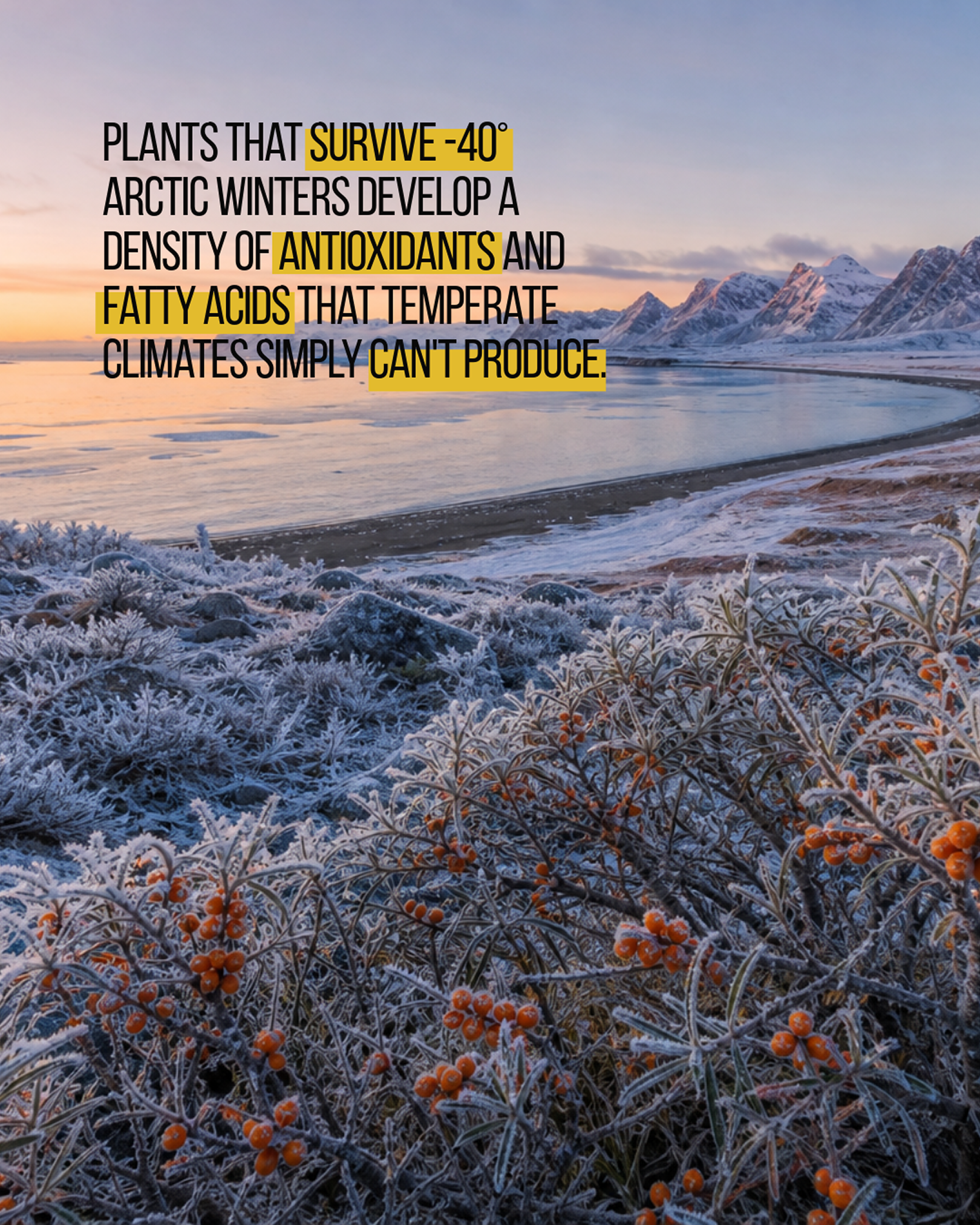 Frøya Organics Facebook ad