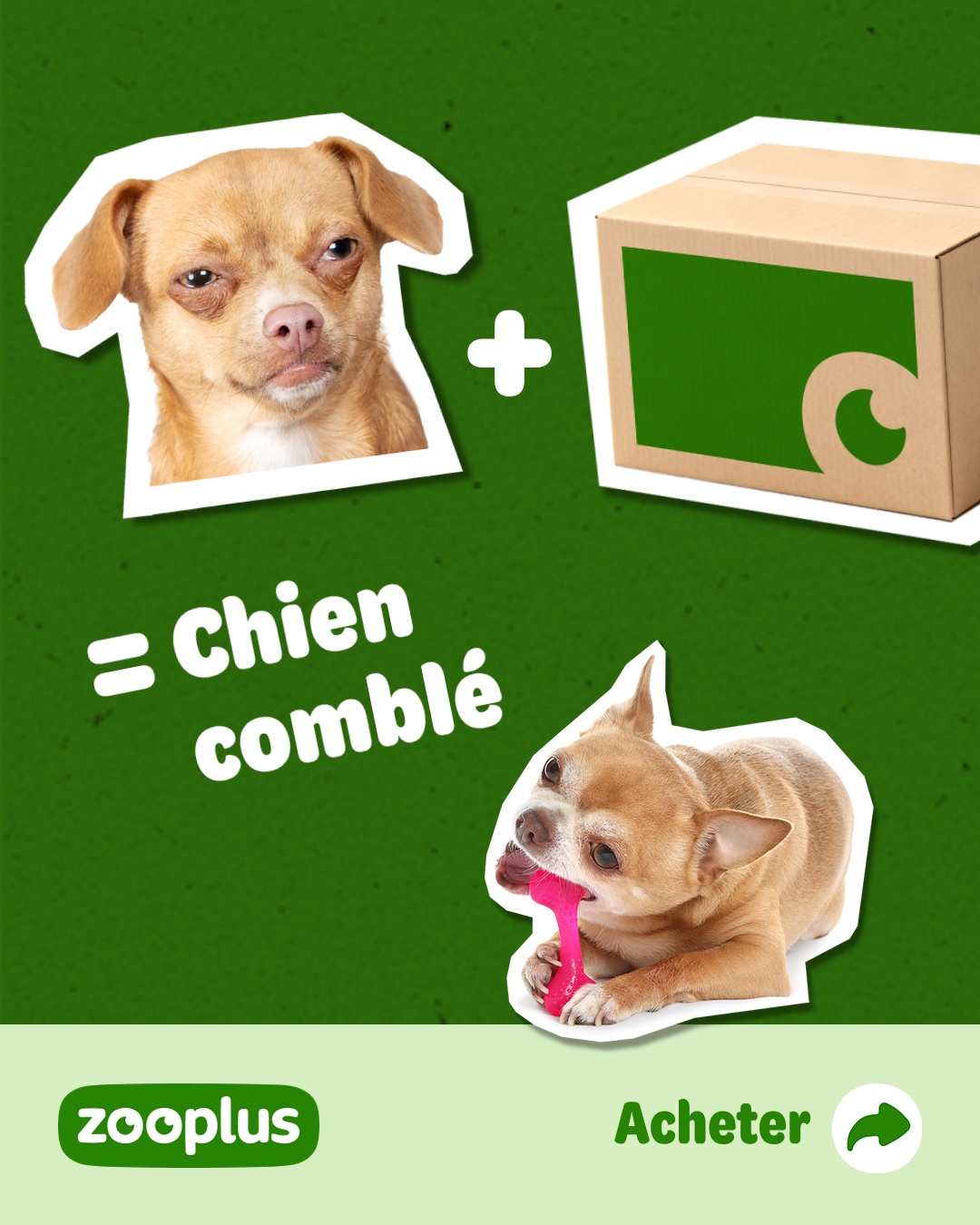 zooplus Facebook ad