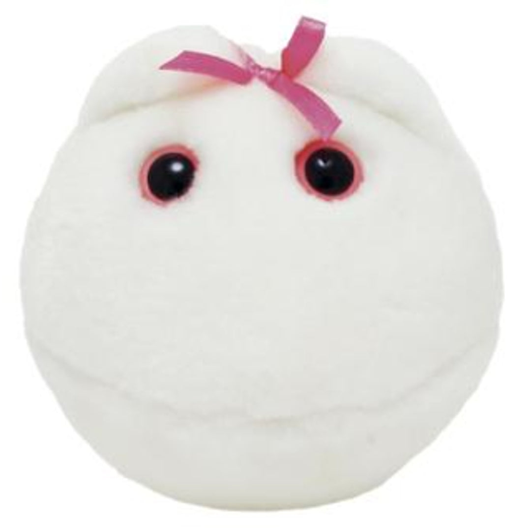 Professor Plum's Facebook ad: Limited Offer | Mar 16-22