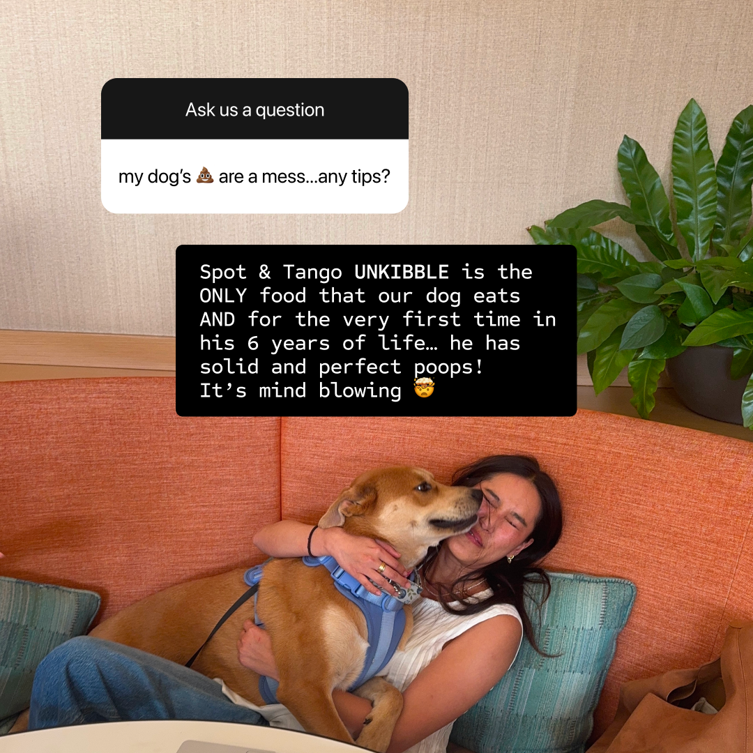 Spot and Tango Facebook ad