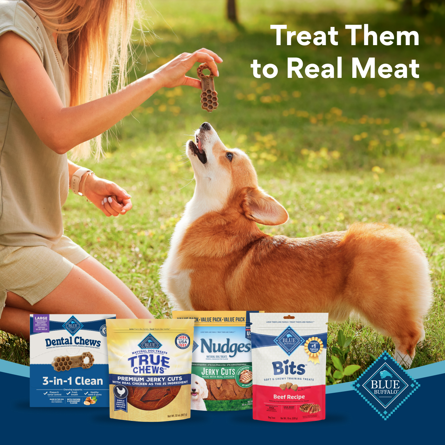 Chewy Facebook ad