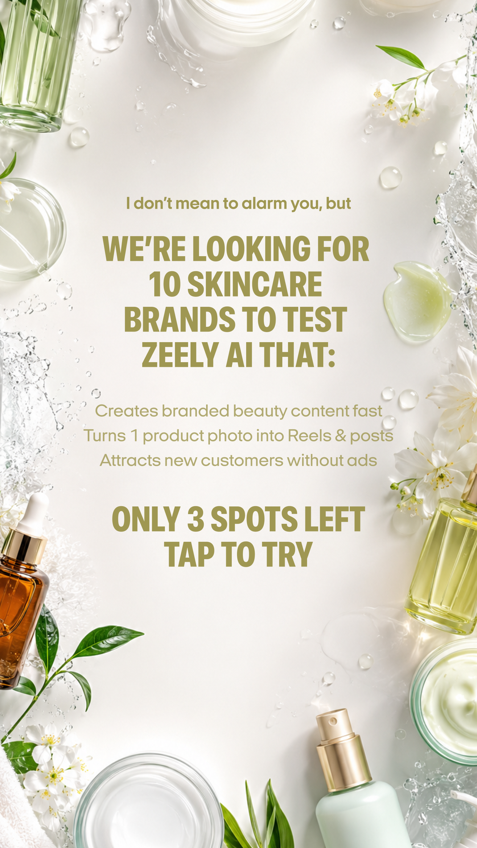 Zeely Facebook ad
