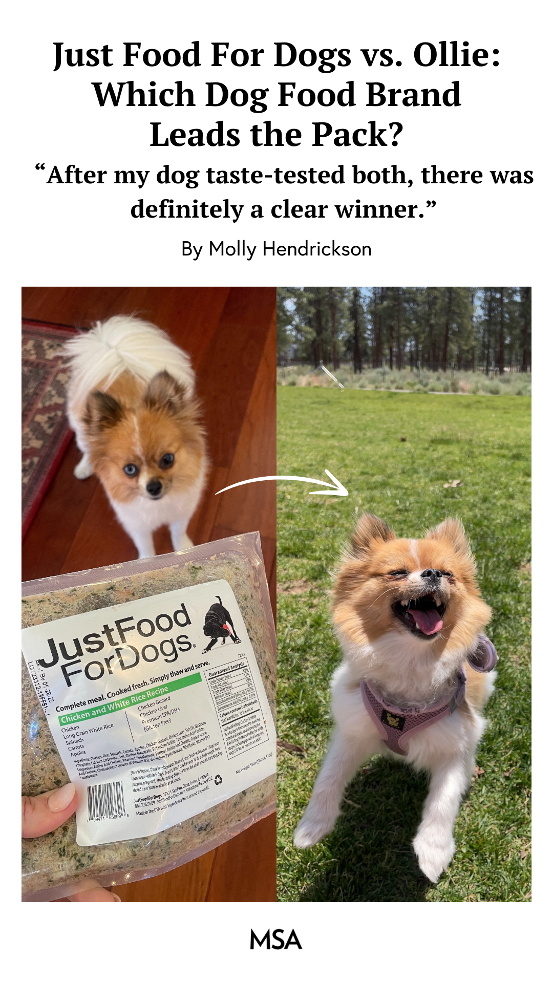 Where In The World Is Molly On Air Facebook ad from May 19, 2026