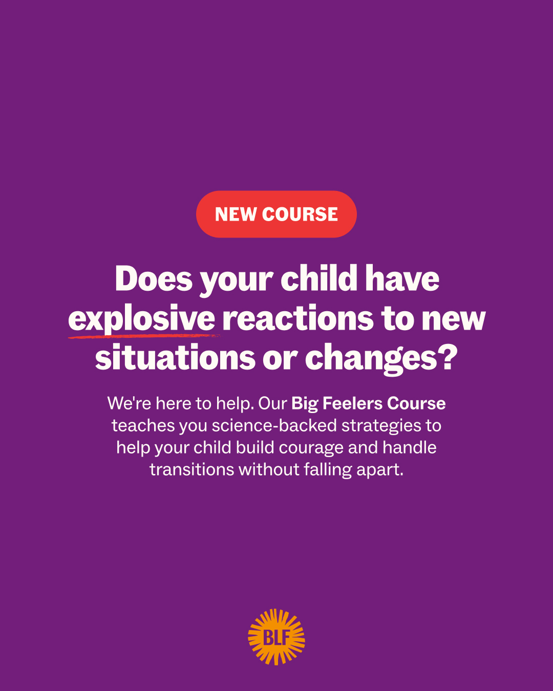 Big Little Feelings Facebook ad