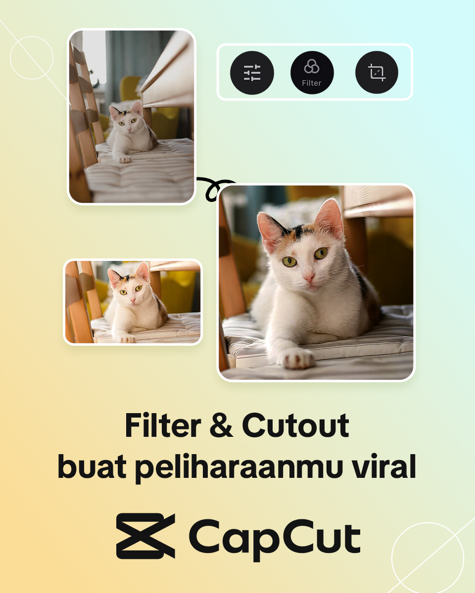 CapCut Facebook ad