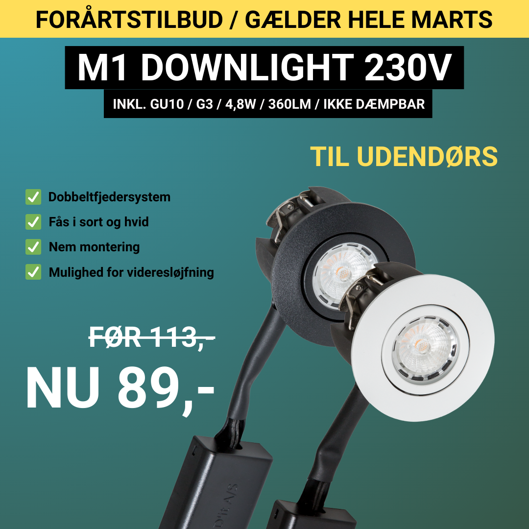 LED'it Facebook ad