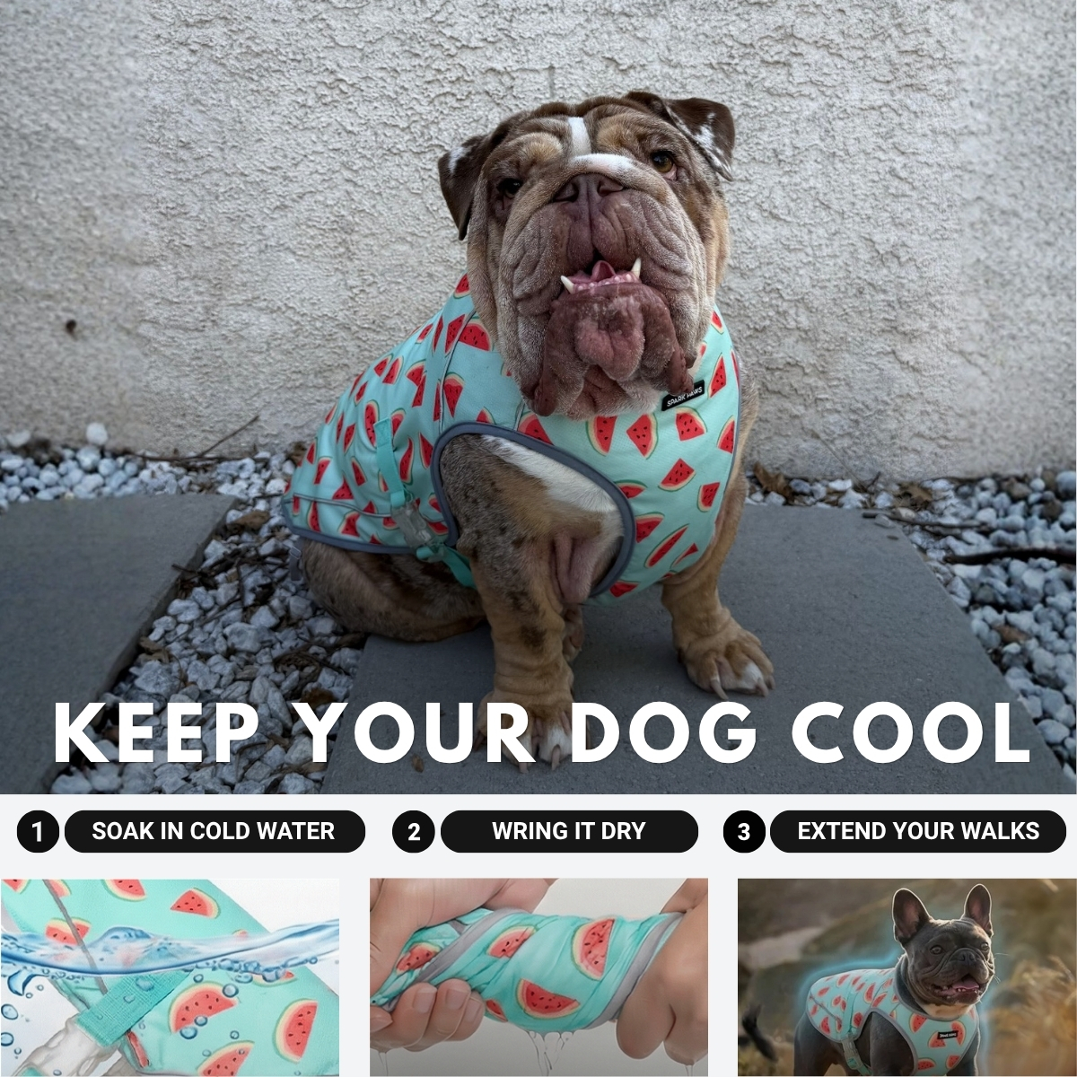 Spark Paws Facebook ad