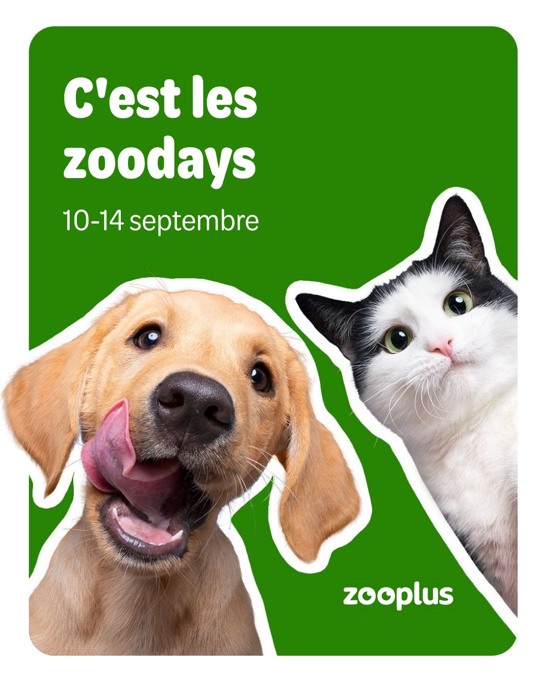 zooplus Facebook ad