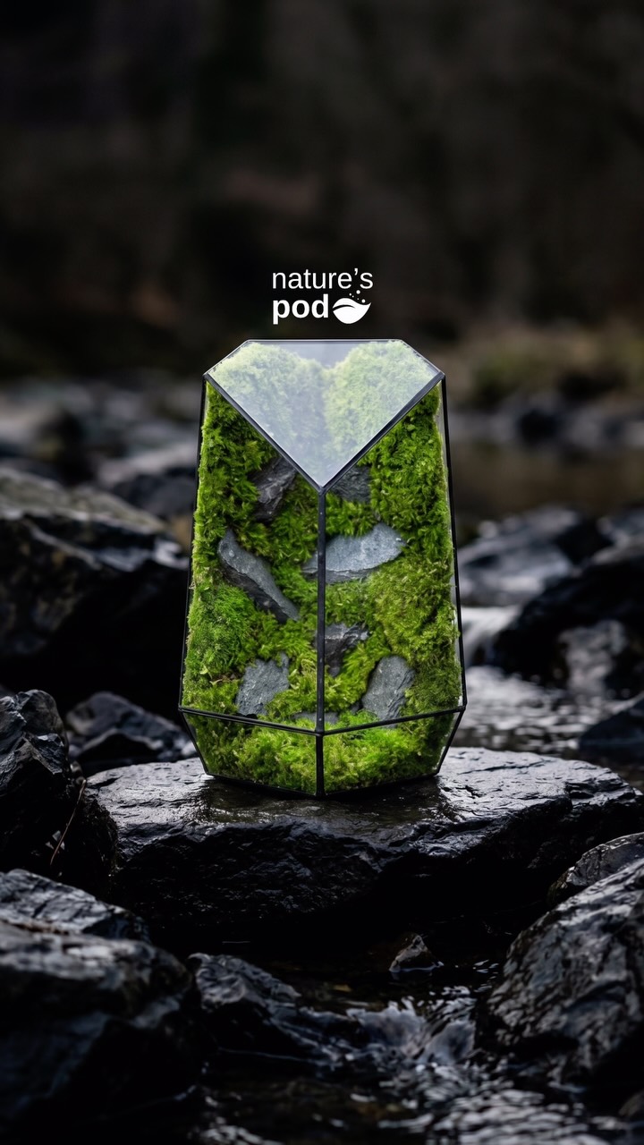 Nature’s Pod Facebook ad: Meet Diamond Prism.