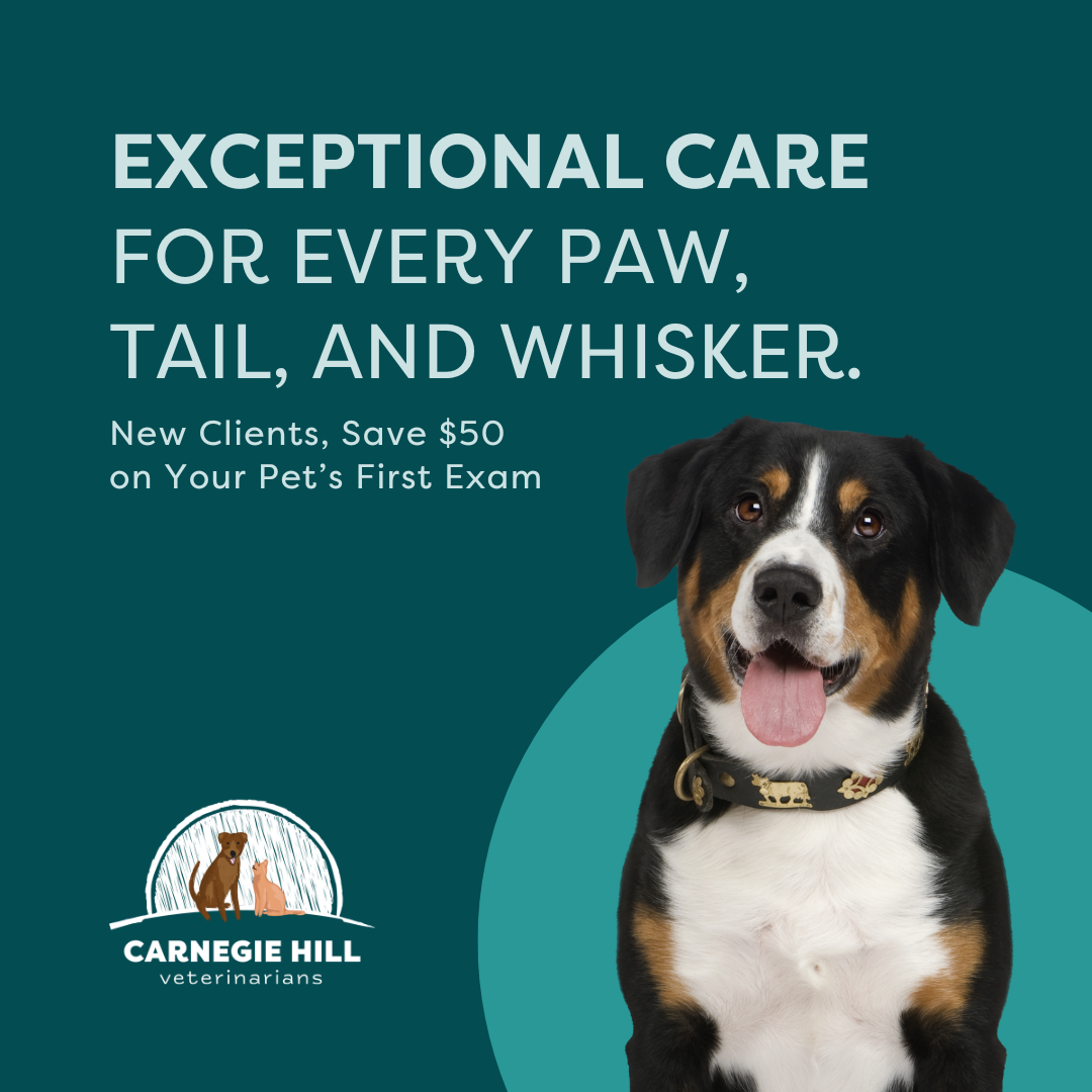 Carnegie Hill Veterinarians Facebook ad