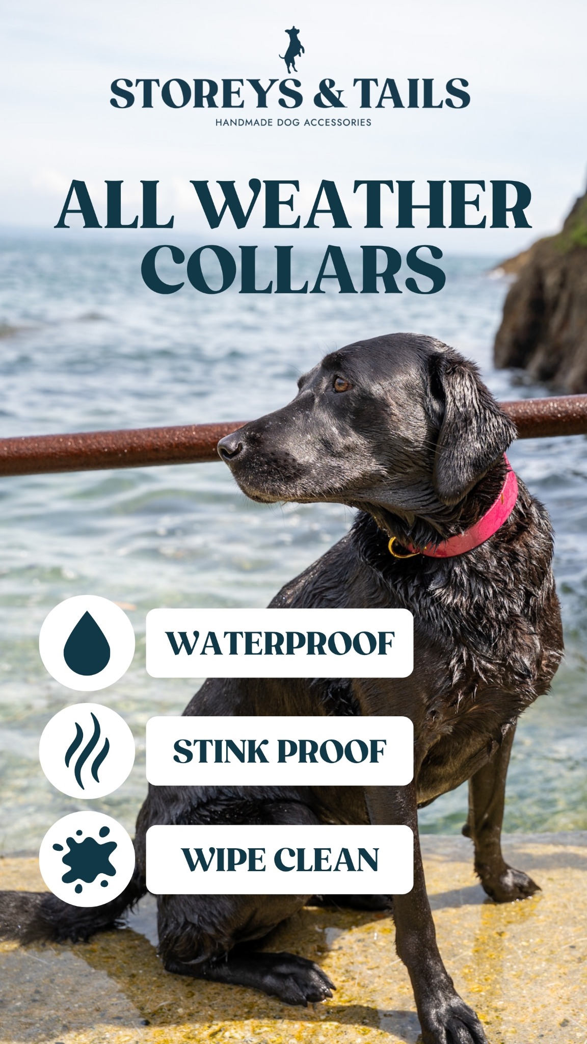Storeys and Tails Facebook ad