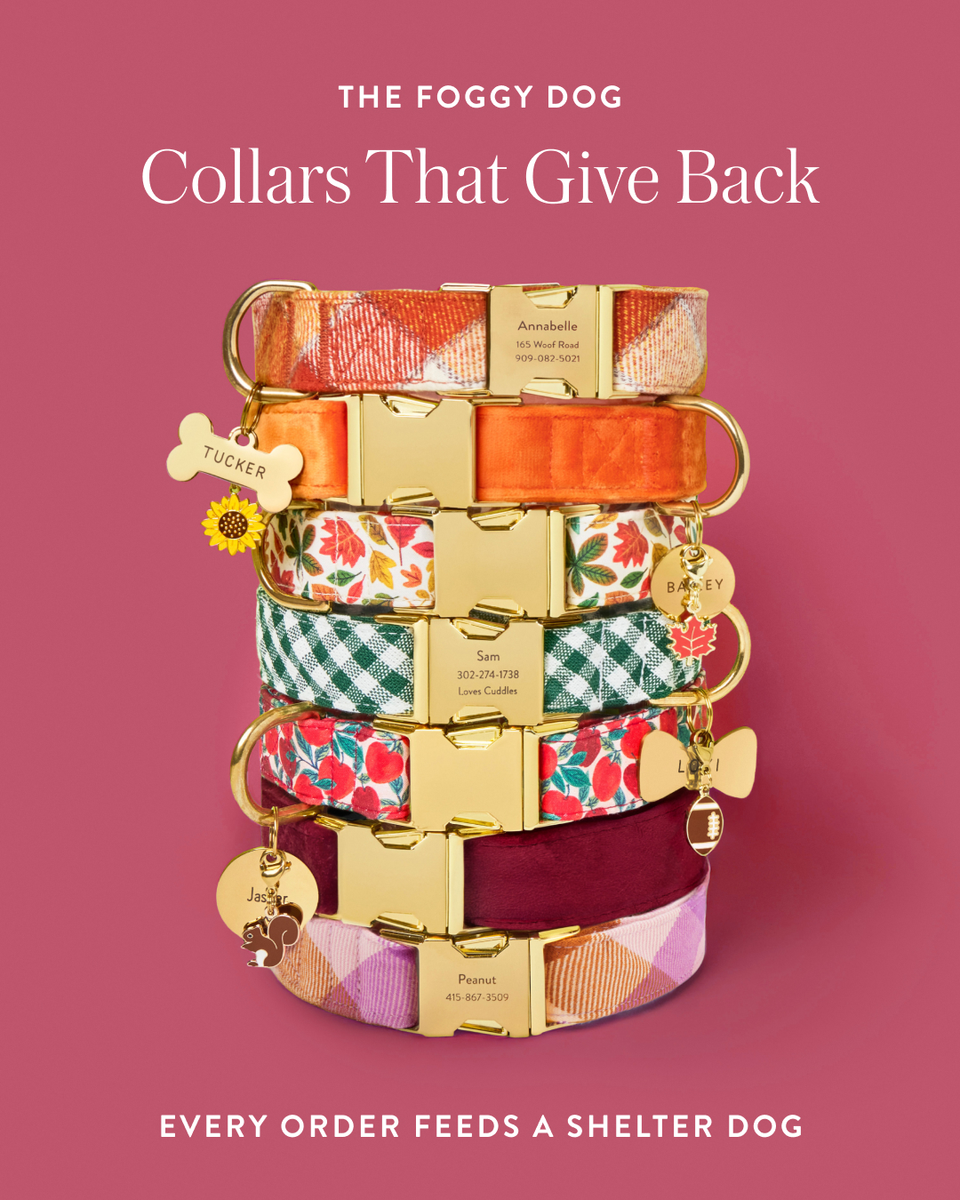 The Foggy Dog Facebook ad