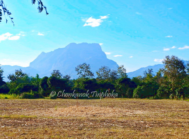 CM House And Land Facebook ad: หมายเหตุ เพิ่มรูปภาพใหม่