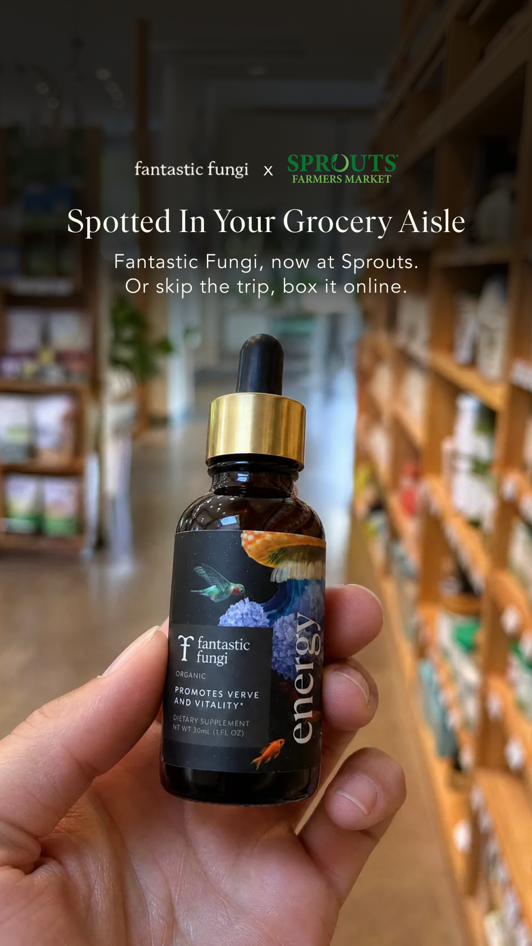 Fantastic Fungi Facebook ad