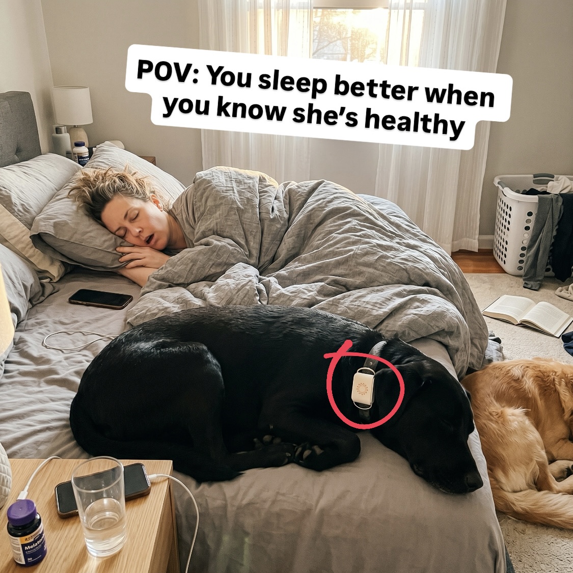 Maven Pet Facebook ad