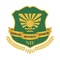 Noida International University