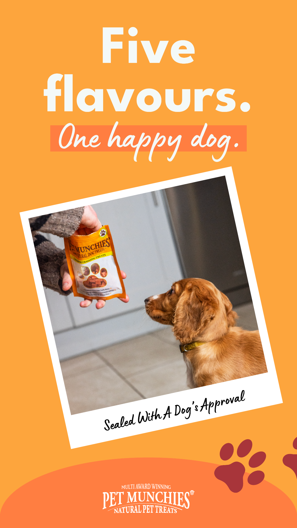 Pet Munchies 100% Natural Pet Treats Facebook ad from Feb 10, 2026