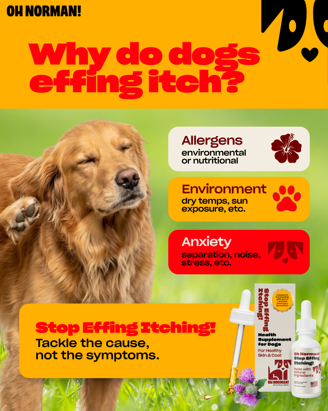 Ohnorman Facebook ad
