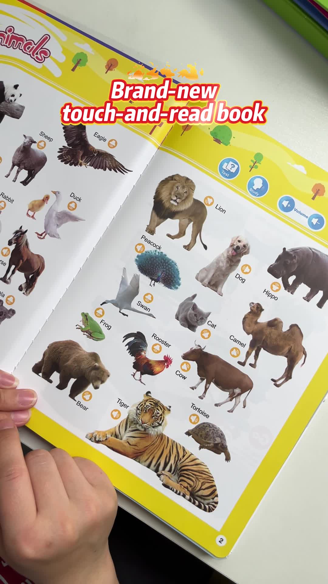 Tiny Dreams UK Facebook ad: #1 Talking Book