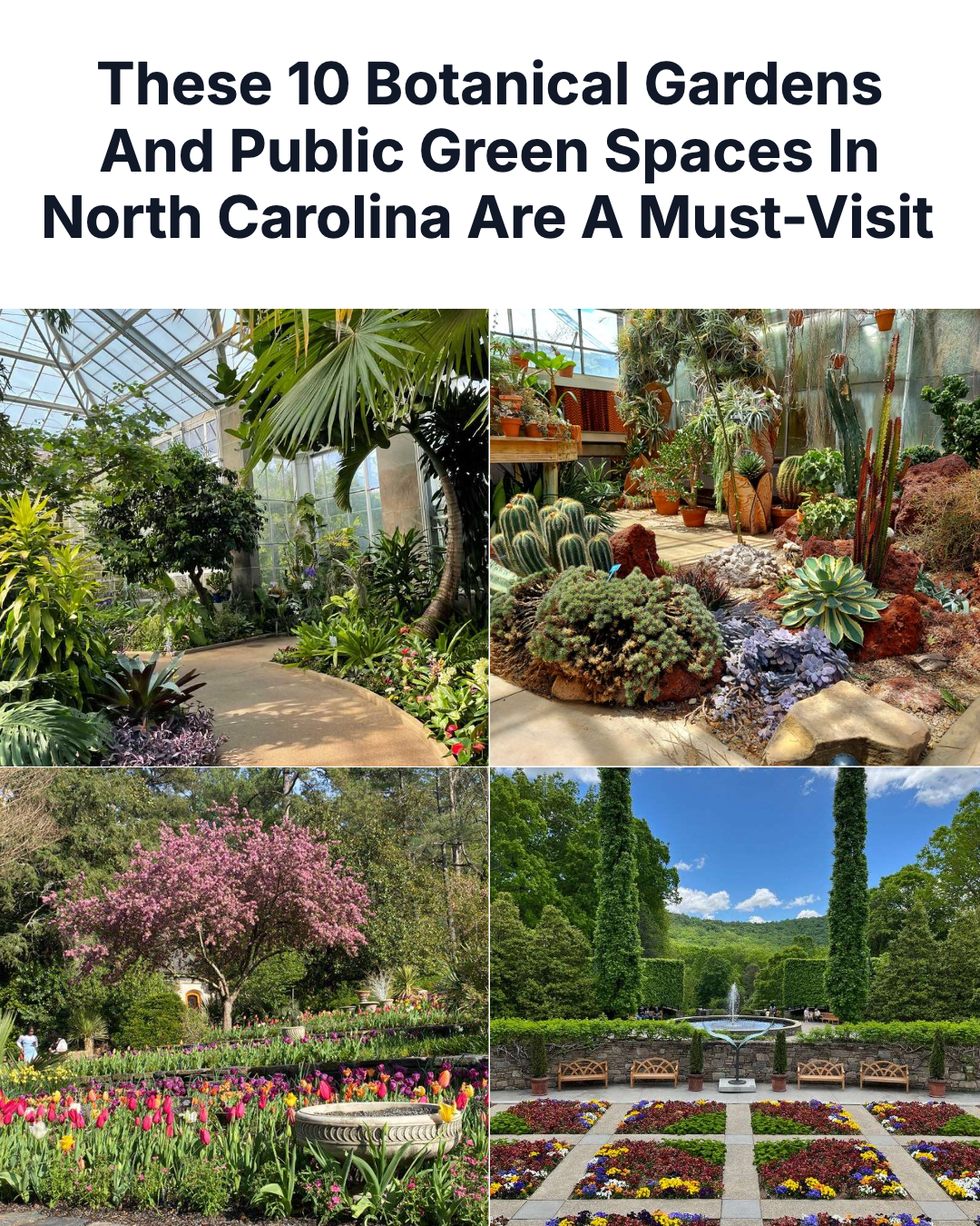 North Carolina Gardener Facebook ad: 10 Must Visit Botanical Gardens And Public Green Spaces In…