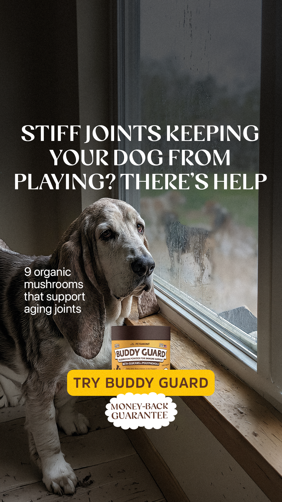 Well Pup Life Facebook ad