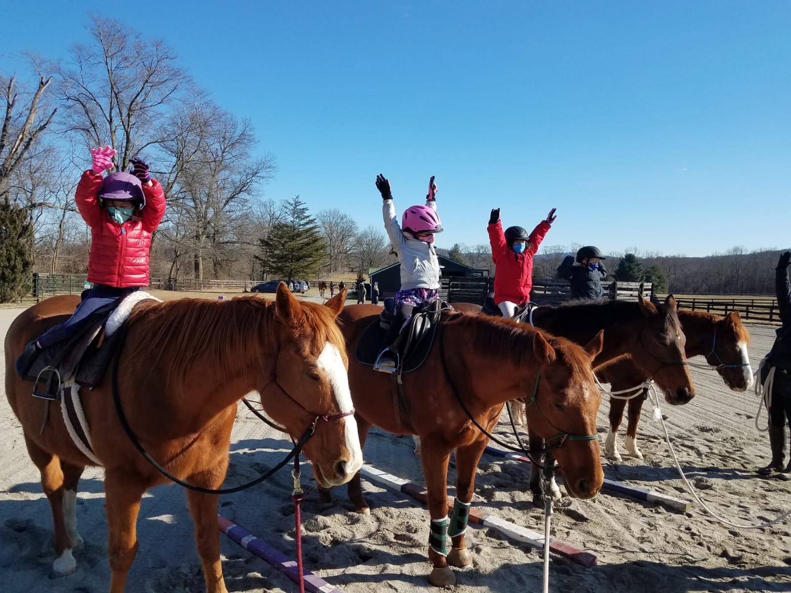 Cool Breeze Equine, LLC Facebook ad: Book a Horseback Riding Lesson