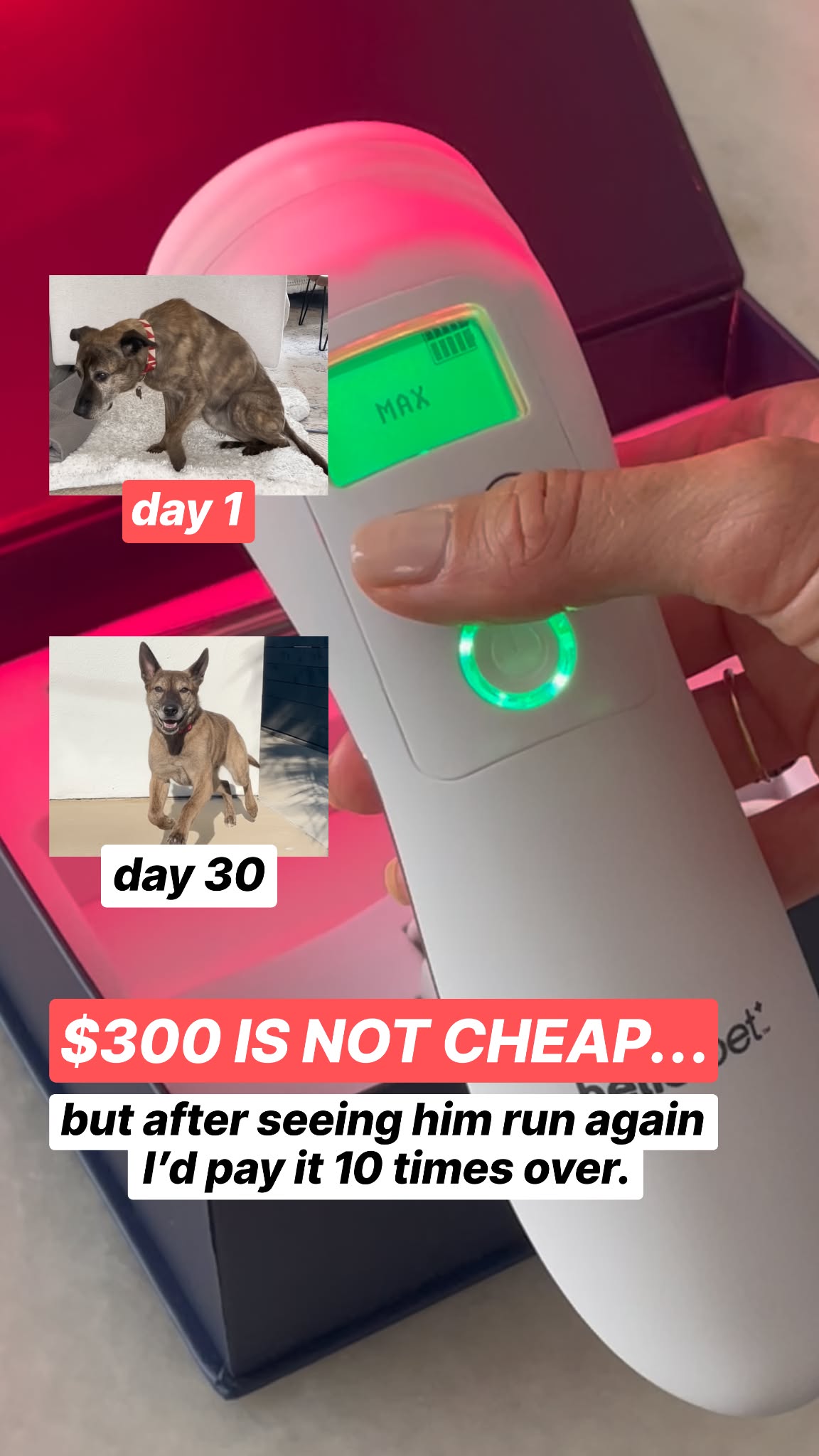 Animal Science Today Facebook ad
