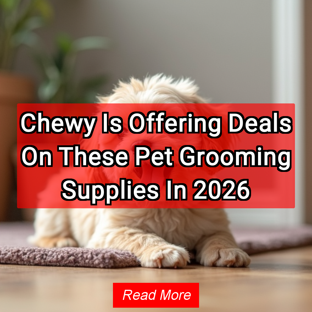 Get More Deals Facebook ad: Chewy Is Offering Deals On These Pet Grooming Supplies In…