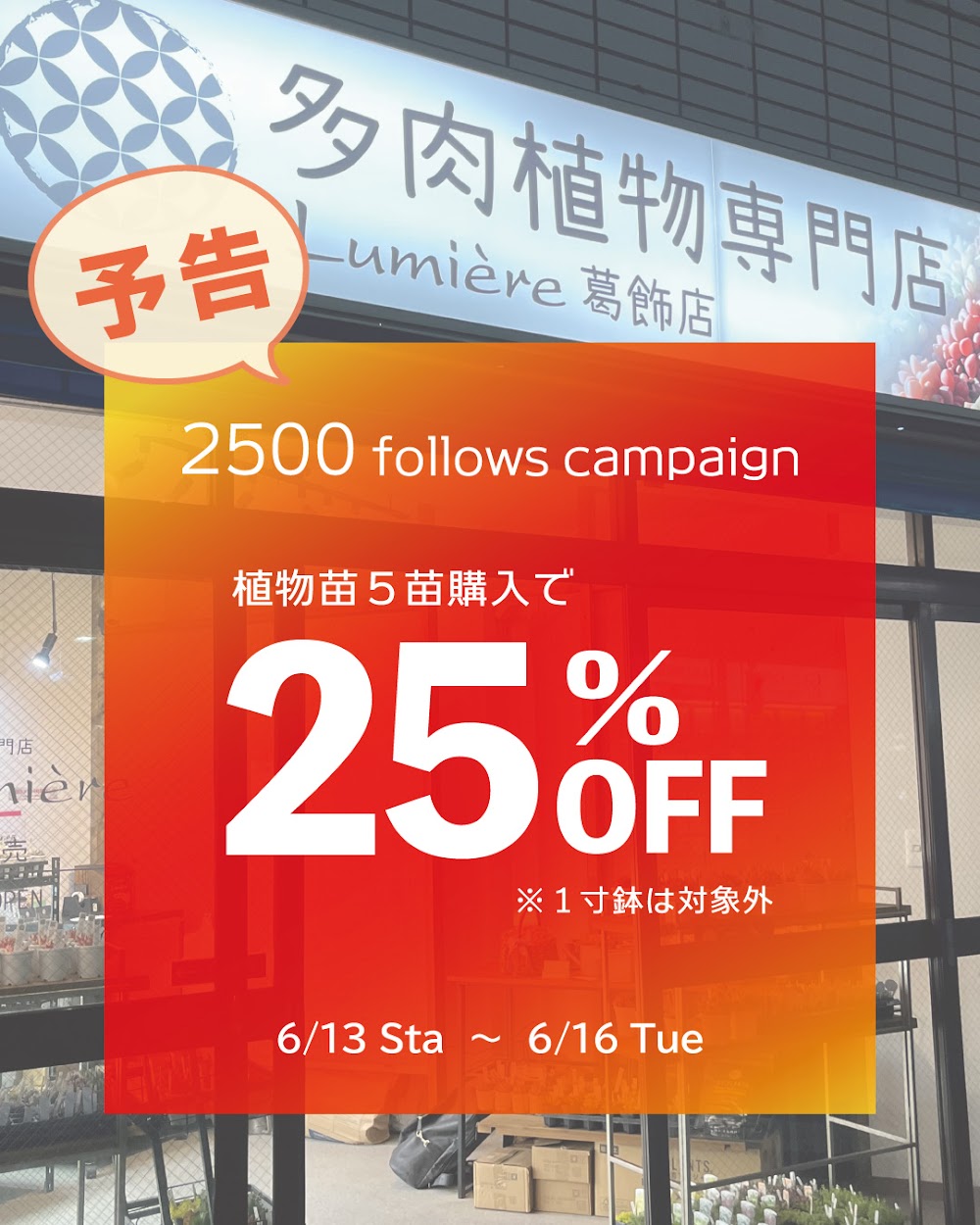 多肉植物専門店Lumière 葛飾店 Facebook ad: めっちゃお得 2500followsキャンペーンの内容が決定!!