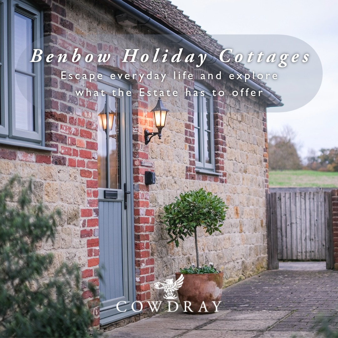 Cowdray Facebook ad