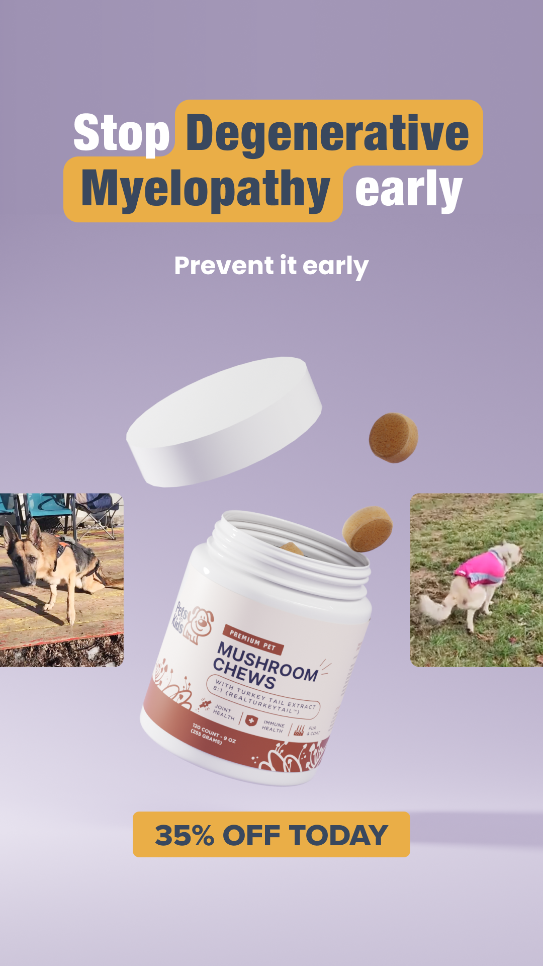 Pets Are Kids Facebook ad