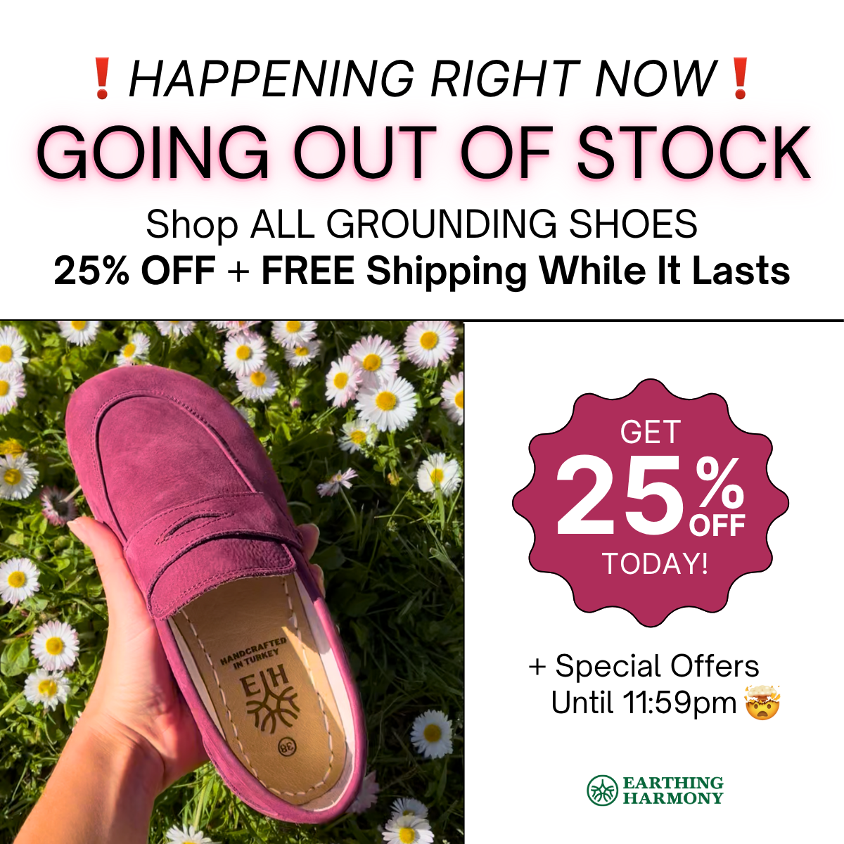 Earthing Harmony Facebook ad