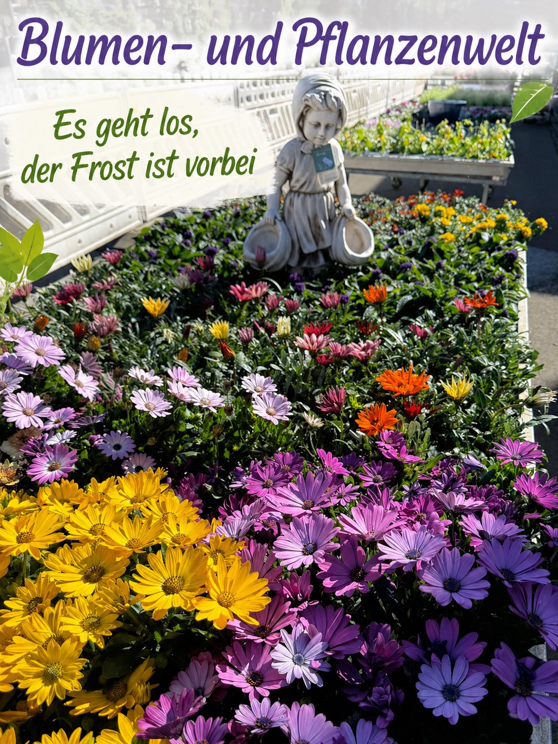 Lifestyle Home & Garden Facebook ad: Endlich Sonne und warm - es geht los.