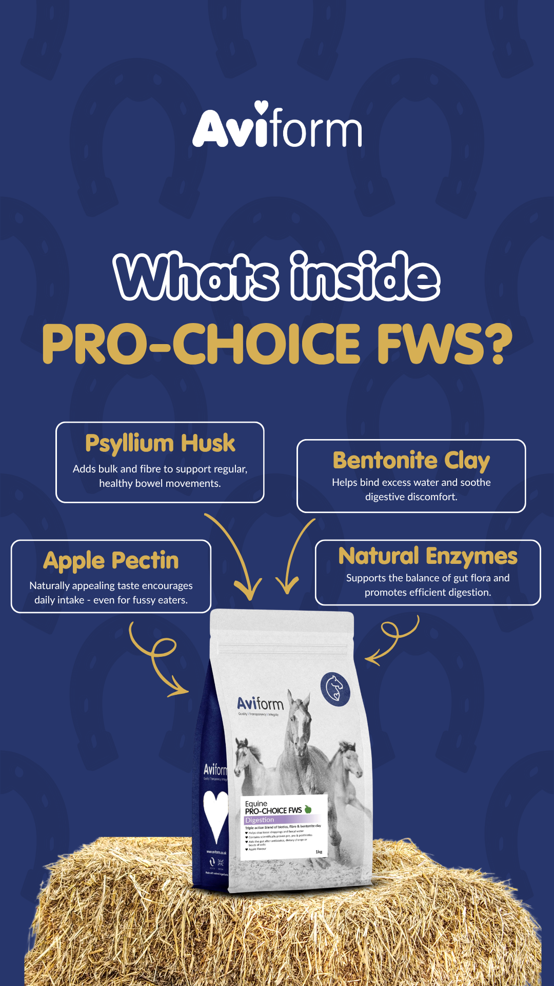 Aviform Nutrition UK - Horse & Dog Facebook ad